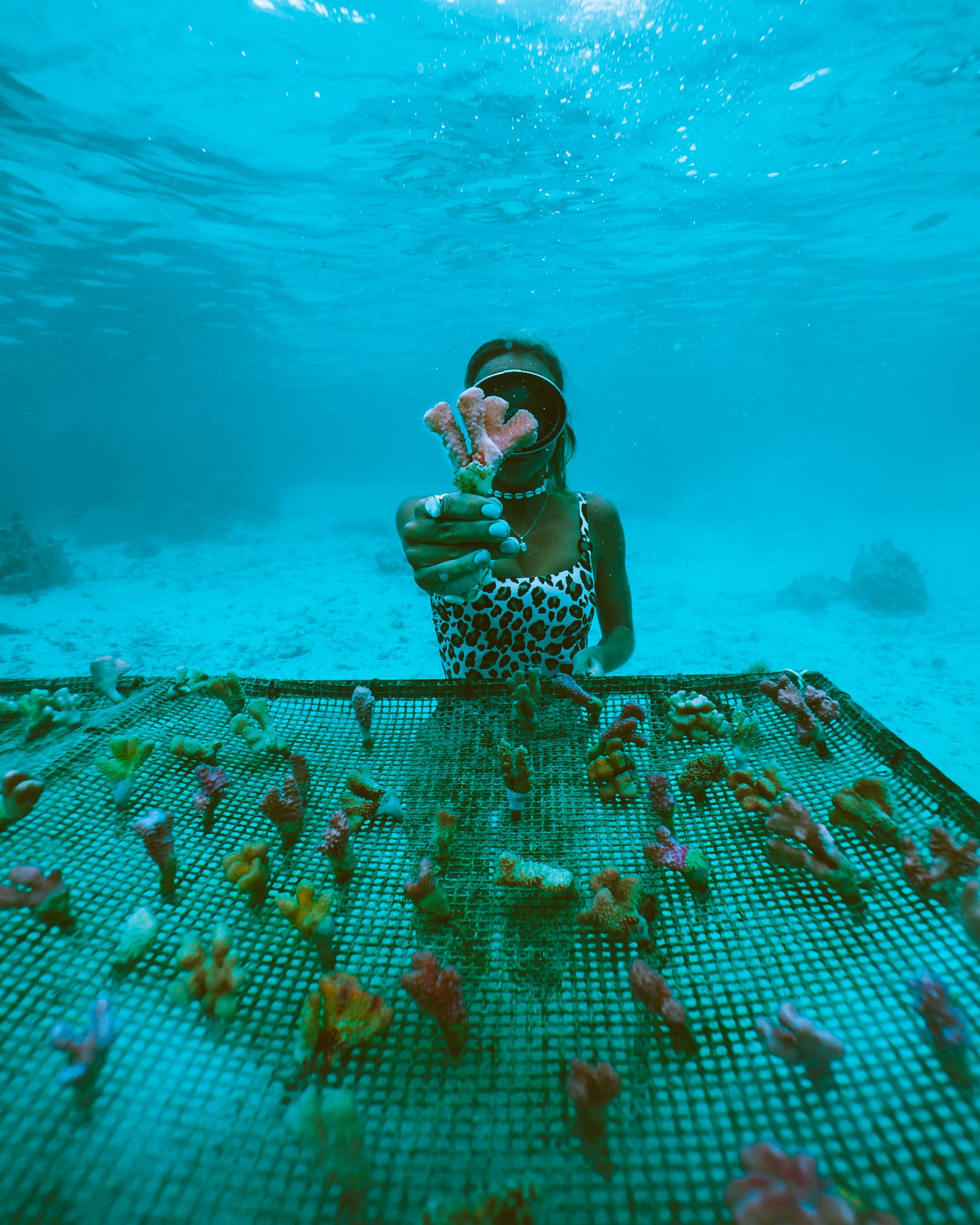 Sarah of SaltyLuxe with the Coral Gardeners Reef Restoration Project